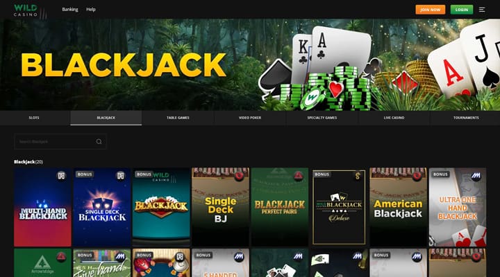 Wild Casino BJ