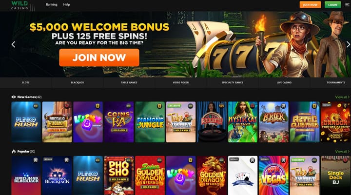 Wild Casino is a Top Choice for US Online Gamblers in 2024